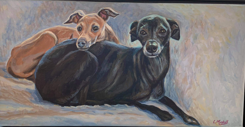 Commissioned Dog Portraits