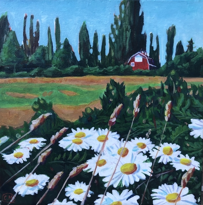 Daisies and the Historic Dunsmuir Farm