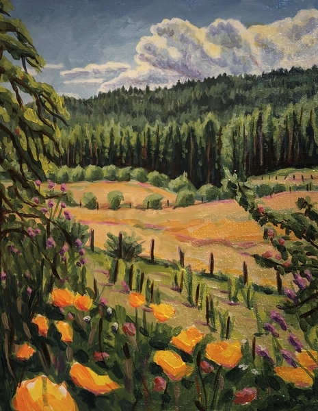 Plein Air at Salt Spring Wild Cider