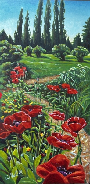 Poppies and Pathway