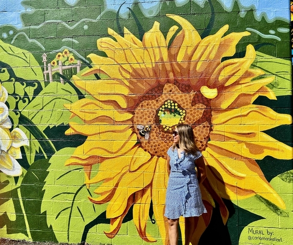 Sunflower cafe mural